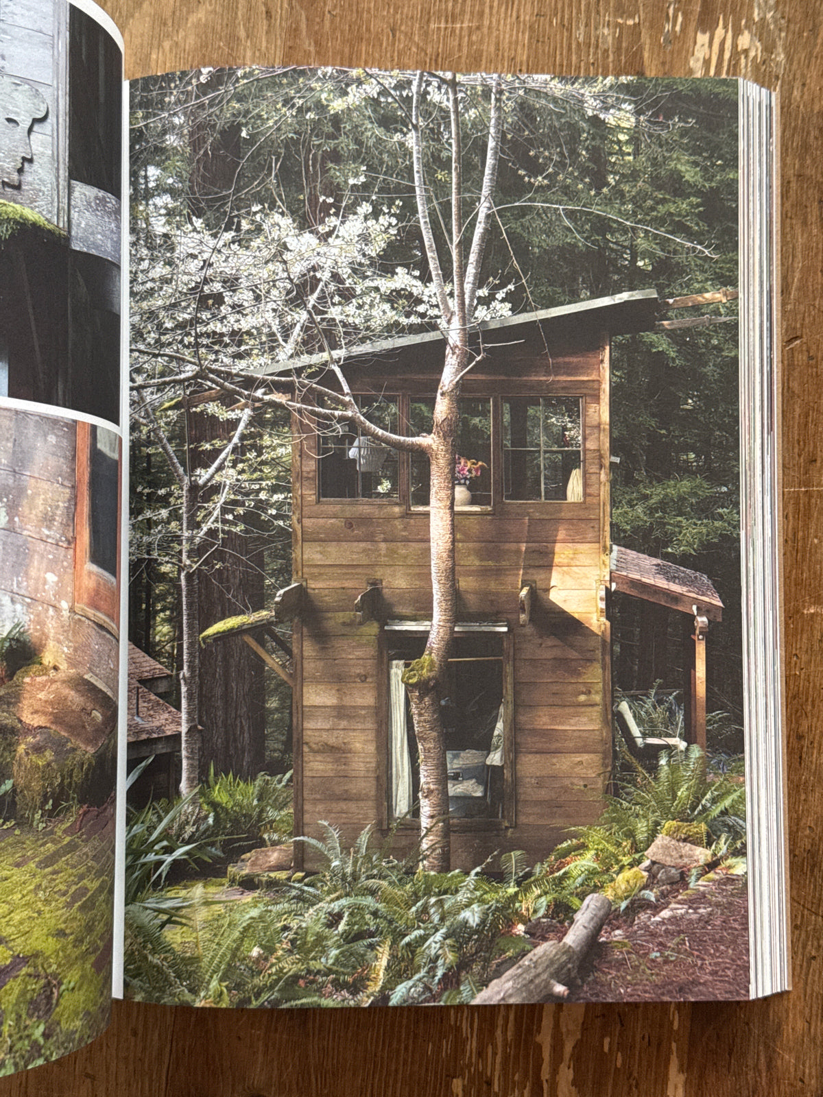 HANDMADE UTOPIA: Back-to-the-Land Architecture in Northern California