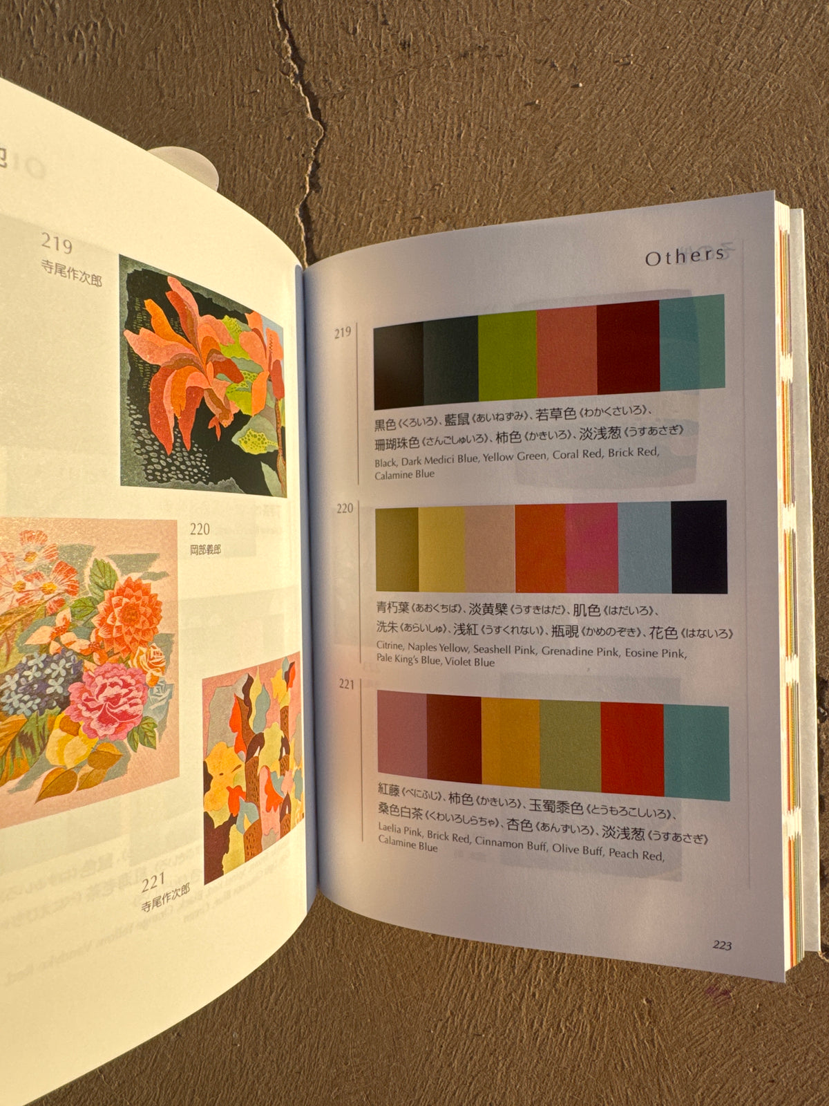 A DICTIONARY OF COLOR COMBINATIONS VOL. 2