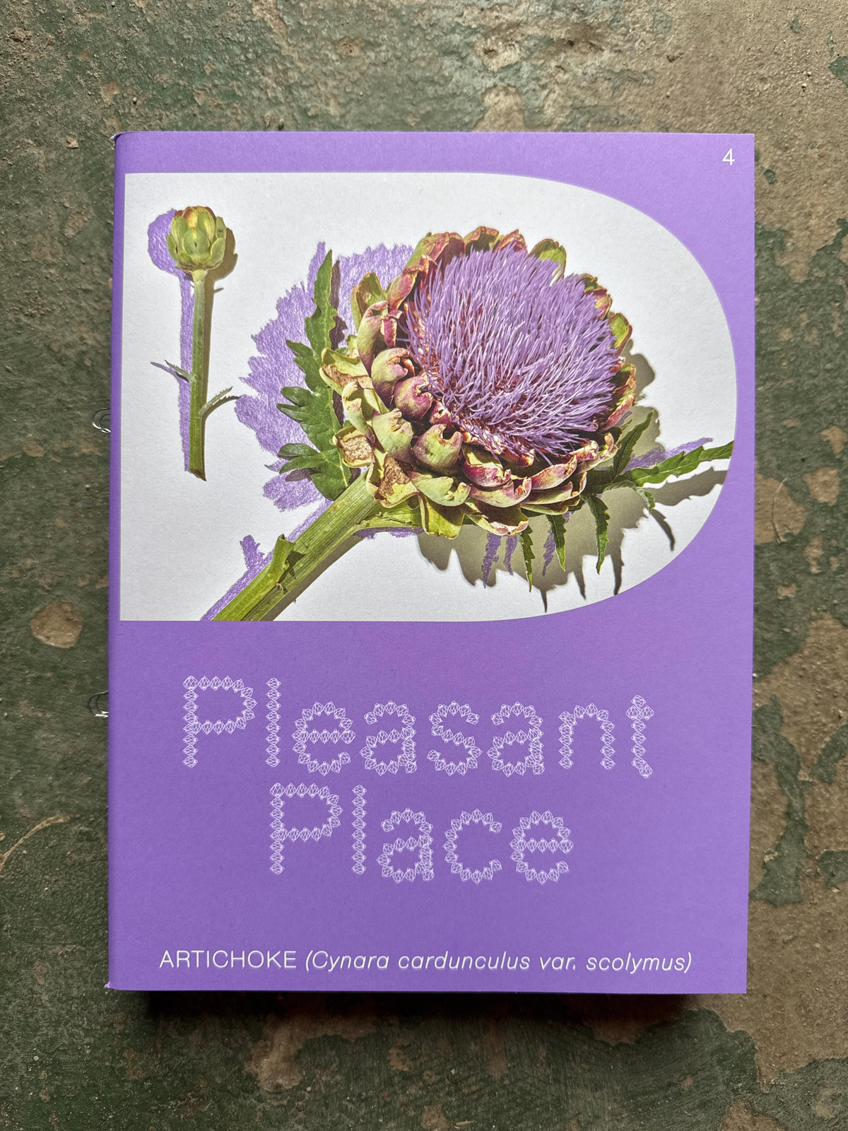 PLEASANT PLACE 4: ARTICHOKE