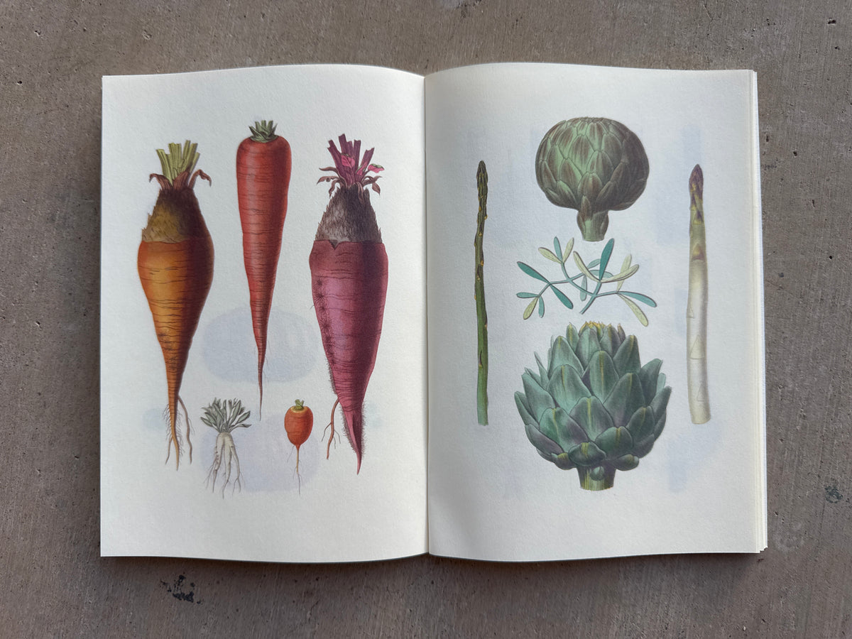 NOTEBOOK: VEGETABLE GARDEN & FRUIT