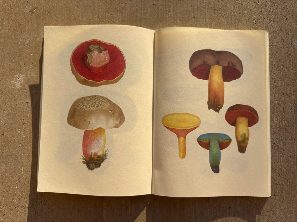 NOTEBOOK: EDIBLE AND POISONOUS MUSHROOMS