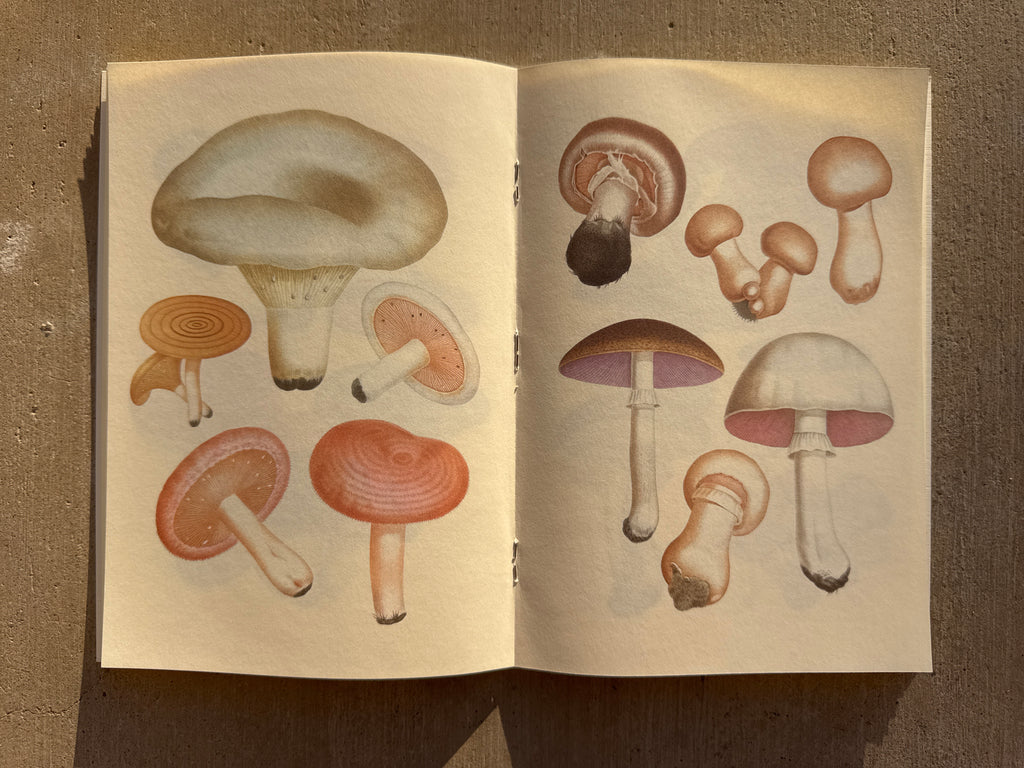 NOTEBOOK: EDIBLE AND POISONOUS MUSHROOMS
