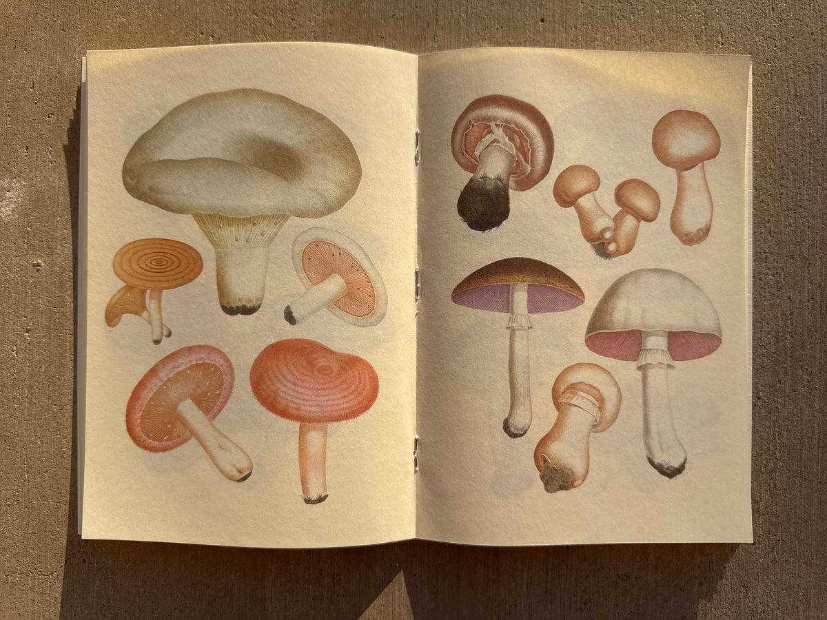 NOTEBOOK: EDIBLE AND POISONOUS MUSHROOMS