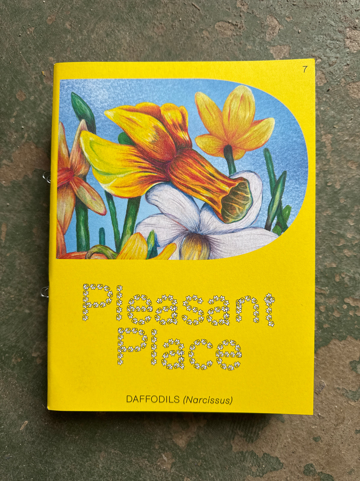 PLEASANT PLACE 7: DAFFODILS