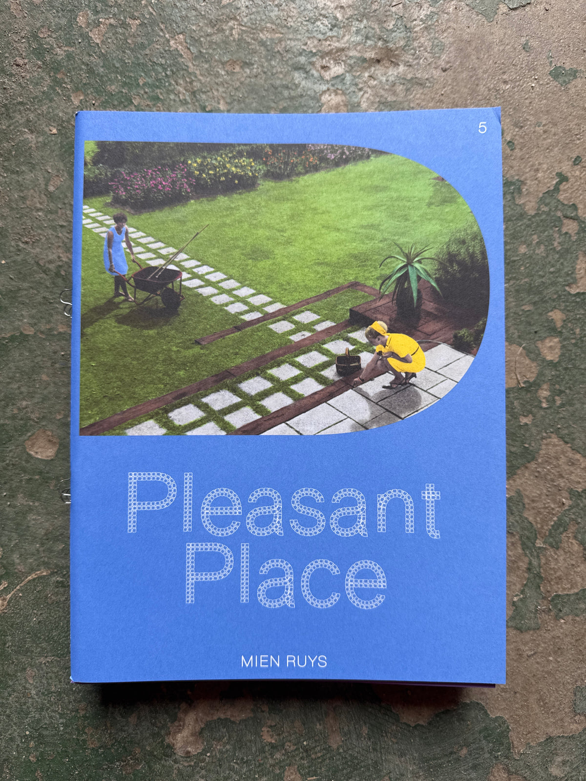 PLEASANT PLACE 5: MIEN RUYS