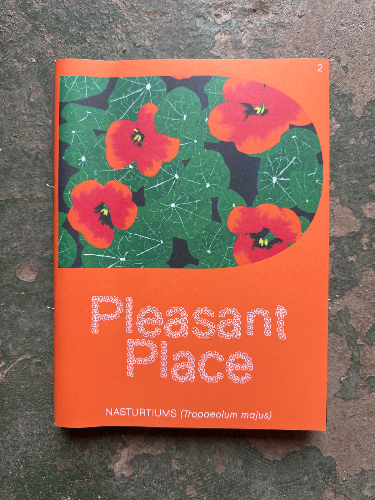 PLEASANT PLACE 2: NASTURTIUMS