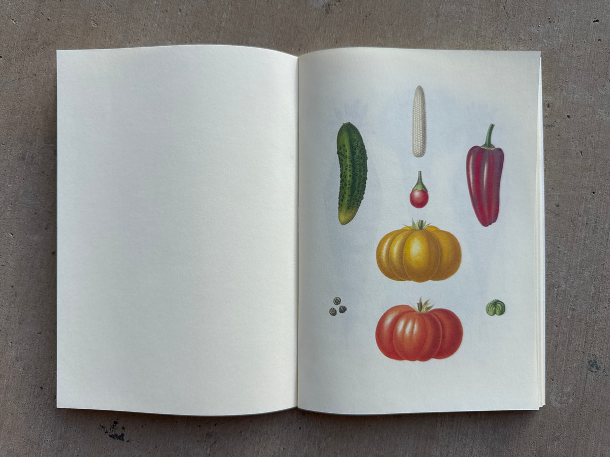NOTEBOOK: VEGETABLE GARDEN & FRUIT