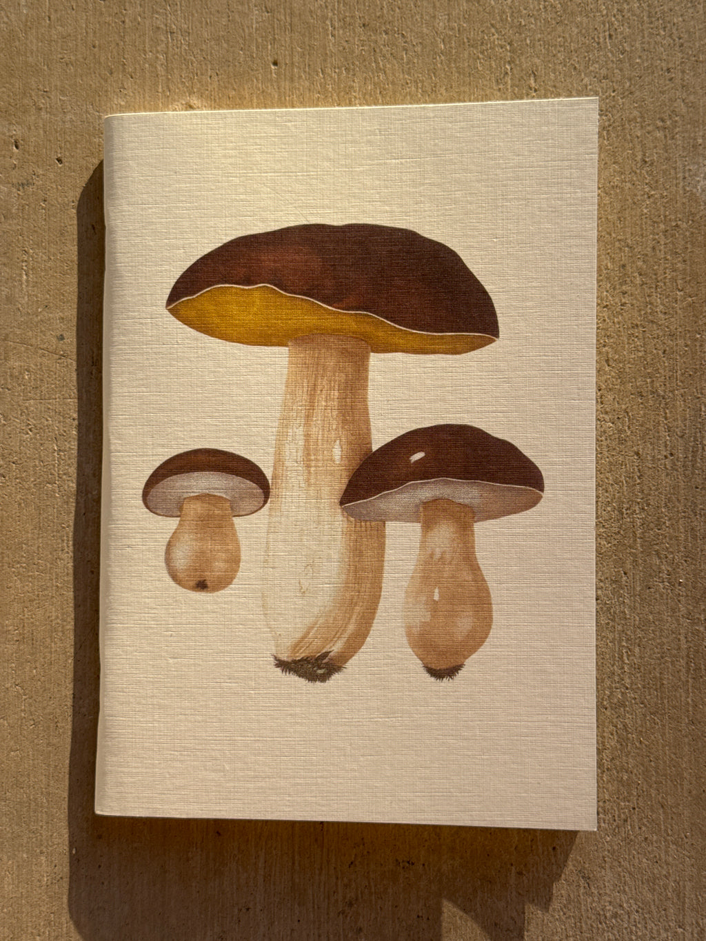 NOTEBOOK: EDIBLE AND POISONOUS MUSHROOMS