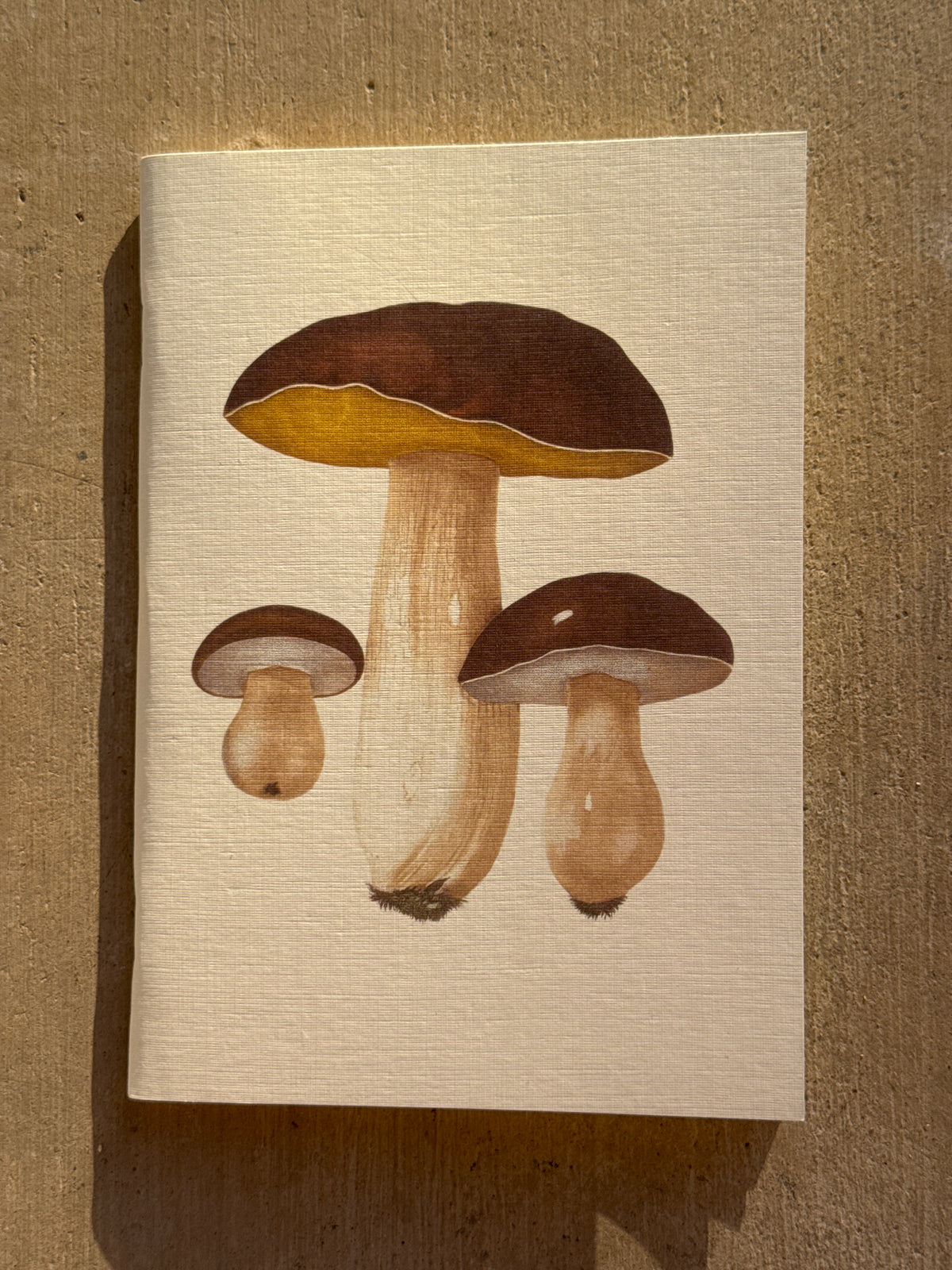 NOTEBOOK: EDIBLE AND POISONOUS MUSHROOMS